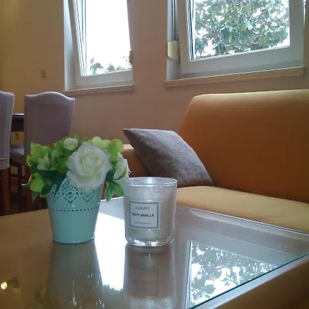 Apartment Visnjik 7-free Parking