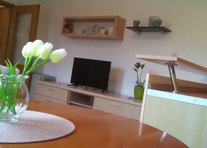 Visnjik 7-free Parking דירה זאדאר